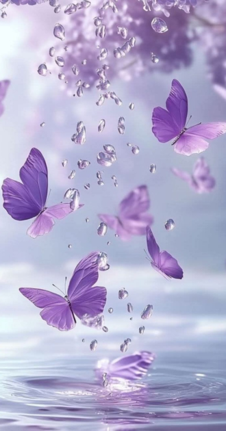 Butterflies Wonderland I