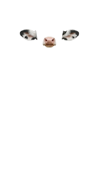 piggy goes oink chicken goes cluck cluck cow goes moooooo and i love you moooooooo