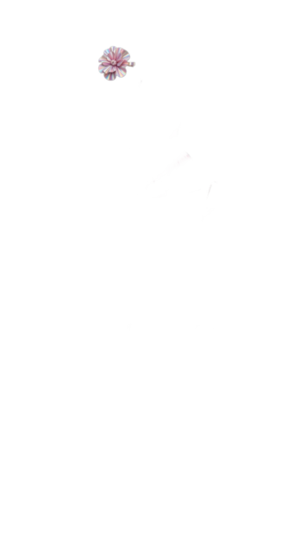 Pink Iridescent Hairflower