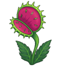 Venus Flytrap